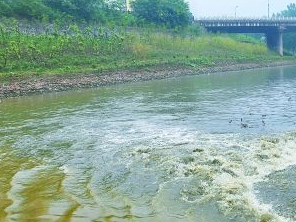 蠡县污水清运多少钱